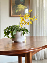 Load image into Gallery viewer, Oval Extendable Dining Table