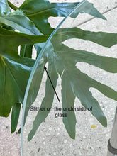 Load image into Gallery viewer, Glass & Chrome Round Coffee Table