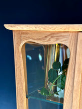 Load image into Gallery viewer, Retro Drinks/Display Cabinet