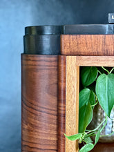 Load image into Gallery viewer, Art Deco Display / Storage Cabinet