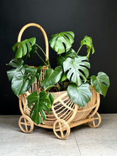 Load image into Gallery viewer, Cane Basket | Planter
