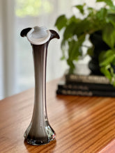Load image into Gallery viewer, Vintage Glass Stem Vases