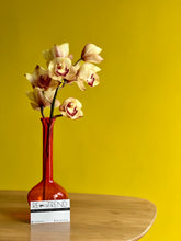 Load image into Gallery viewer, Vibrant Glass Vase