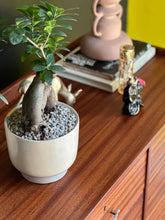 Load image into Gallery viewer, Retro Chest of Drawers