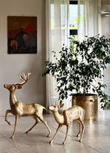 Load image into Gallery viewer, Large Solid Brass Buck & Doe Deer Pair (Floor Standing)