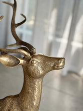 Load image into Gallery viewer, Large Solid Brass Buck & Doe Deer Pair (Floor Standing)