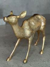 Load image into Gallery viewer, Large Solid Brass Buck & Doe Deer Pair (Floor Standing)