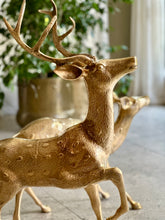 Load image into Gallery viewer, Large Solid Brass Buck & Doe Deer Pair (Floor Standing)