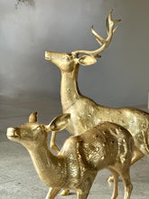 Load image into Gallery viewer, Large Solid Brass Buck & Doe Deer Pair (Floor Standing)