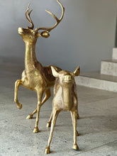 Load image into Gallery viewer, Large Solid Brass Buck & Doe Deer Pair (Floor Standing)