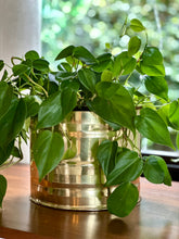 Load image into Gallery viewer, Brass Planter