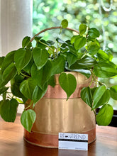 Load image into Gallery viewer, Copper Planter with Red Copper Detail