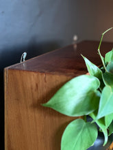 Load image into Gallery viewer, Versatile, Compact Cabinet