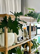 Load image into Gallery viewer, Large Vintage Wicker Multipurpose Cabinet / Sideboard