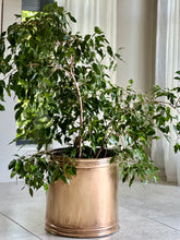Load image into Gallery viewer, Large Vintage Brass Planter