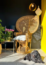 Load image into Gallery viewer, "Peacock" Chair