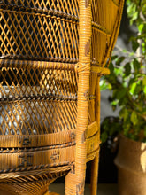 Load image into Gallery viewer, "Peacock" Chair