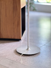 Load image into Gallery viewer, Floor Lamp