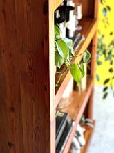 Load image into Gallery viewer, Tall Oregon Shelf