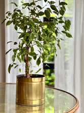 Load image into Gallery viewer, Brass Planter