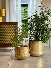 Load image into Gallery viewer, Brass Planter