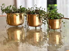 Load image into Gallery viewer, Brass Planter