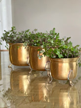 Load image into Gallery viewer, Brass Planter