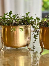 Load image into Gallery viewer, Brass Planter