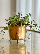 Load image into Gallery viewer, Brass Planter