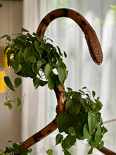 Load image into Gallery viewer, Rare MCM Bamboo and Rattan Plant Stand