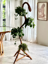 Load image into Gallery viewer, Rare MCM Bamboo and Rattan Plant Stand