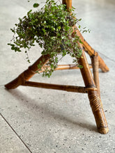 Load image into Gallery viewer, Rare MCM Bamboo and Rattan Plant Stand