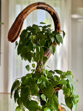 Load image into Gallery viewer, Rare MCM Bamboo and Rattan Plant Stand
