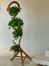 Load image into Gallery viewer, Rare MCM Bamboo and Rattan Plant Stand
