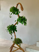 Load image into Gallery viewer, Rare MCM Bamboo and Rattan Plant Stand