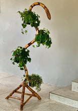 Load image into Gallery viewer, Rare MCM Bamboo and Rattan Plant Stand