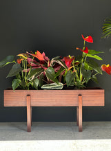 Load image into Gallery viewer, Wooden Plant Stand