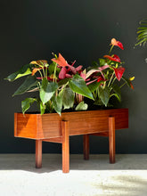 Load image into Gallery viewer, Wooden Plant Stand