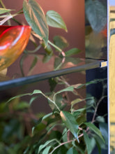 Load image into Gallery viewer, Chrome & Glass Shelving Unit