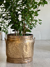 Load image into Gallery viewer, Brass Planter