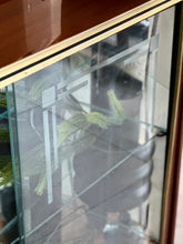 Load image into Gallery viewer, Retro Drinks/Display Cabinet