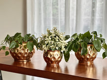 Load image into Gallery viewer, Set of Three Brass Planters with Indentation