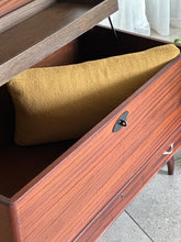 Load image into Gallery viewer, Retro “Camphor” Storage Kist