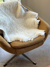 Load image into Gallery viewer, Pair of Zodiac Upholstered Chairs