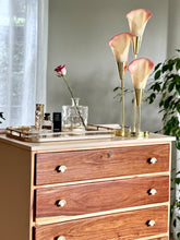 Load image into Gallery viewer, Refreshed, Five Drawer Chest of Drawers