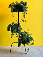 Load image into Gallery viewer, Retro Steel Plant Stand