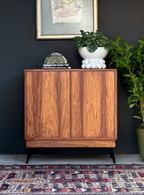 Load image into Gallery viewer, Mid-Century Records | LP Storage Cabinet