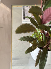 Load image into Gallery viewer, Chrome, Lucite & Brass Square Coffee Table - Attributed to Sandro Petti, Italy