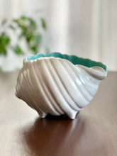 Load image into Gallery viewer, Winkle Shell by Poole