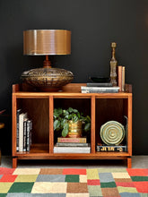 Load image into Gallery viewer, Storage | Media Cabinet | Record Storage cabinet